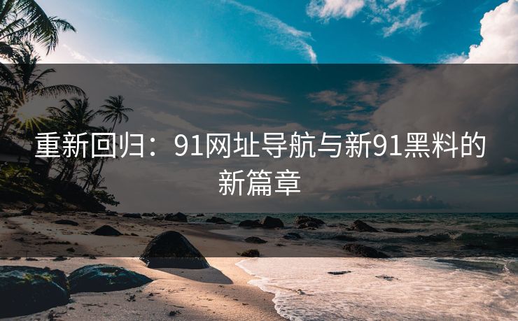 重新回归：91网址导航与新91黑料的新篇章