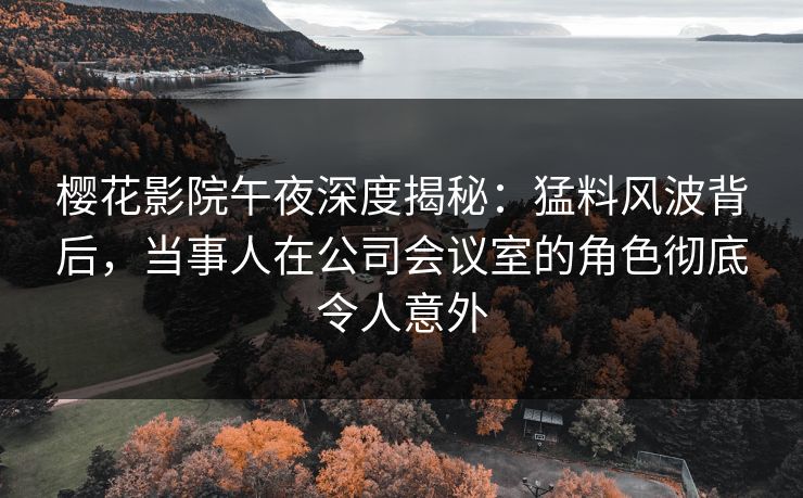 樱花影院午夜深度揭秘：猛料风波背后，当事人在公司会议室的角色彻底令人意外