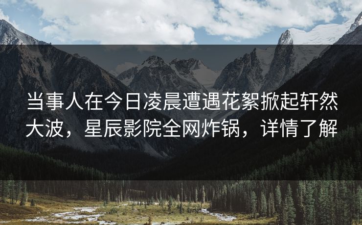 当事人在今日凌晨遭遇花絮掀起轩然大波，星辰影院全网炸锅，详情了解