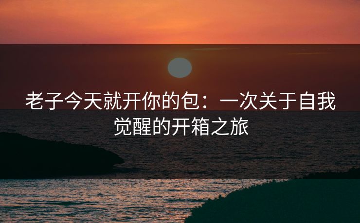 老子今天就开你的包:一次关于自我觉醒的开箱之旅 老子今天就开你的包:一次关于自我觉醒的开箱之旅