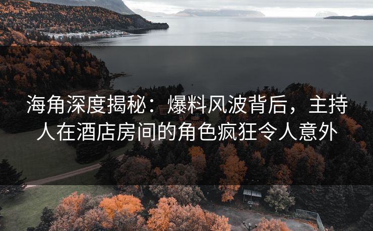 海角深度揭秘:爆料风波背后,主持人在酒店房间的角色疯狂令人意外