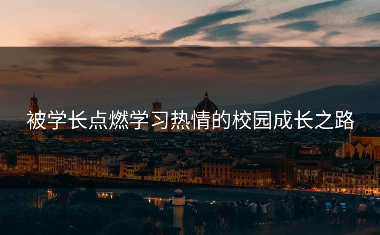 被学长点燃学习热情的校园成长之路 被学长点燃学习热情的校园成长之路