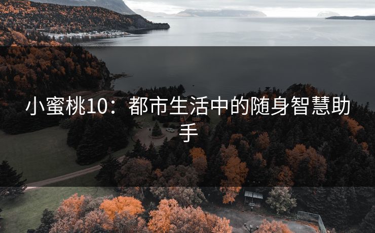 小蜜桃10:都市生活中的随身智慧助手 小蜜桃10:都市生活中的随身智慧助手