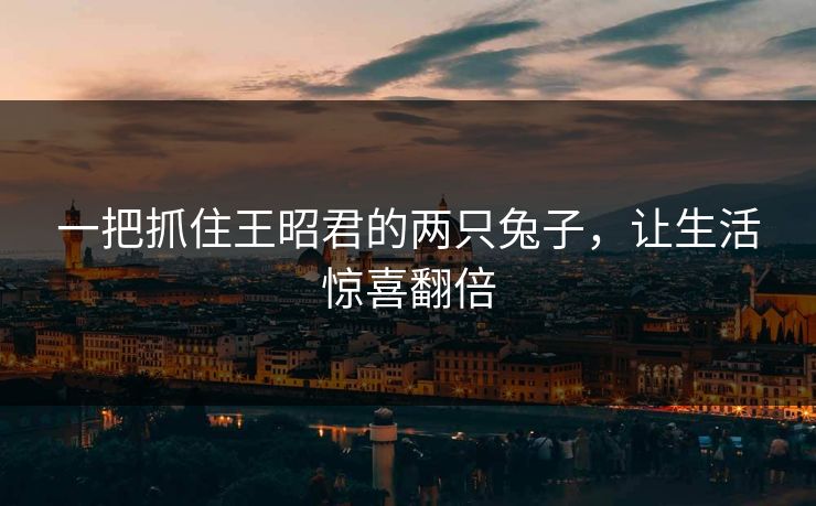 一把抓住王昭君的两只兔子,让生活惊喜翻倍 一把抓住王昭君的两只兔子,让生活惊喜翻倍